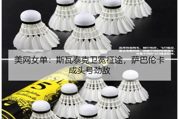 mei-wang-nv-dan-si-wa-tai-ke-wei-mian-zheng-tu-sa-ba-lun-ka-cheng-tou-hao-jing-di-3-400.jpg