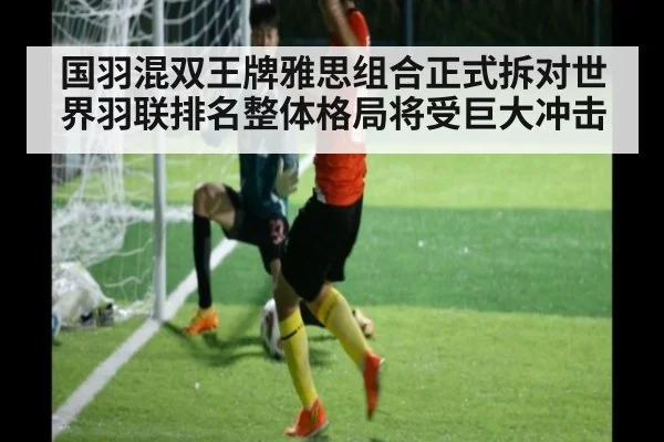 国羽混双王牌雅思组合正式拆对世界羽联排名整体格局将受巨大冲击