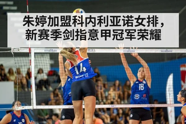 volleyball match action
